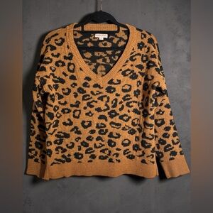 Knox Rose Brown and Black V-Neck Sweater